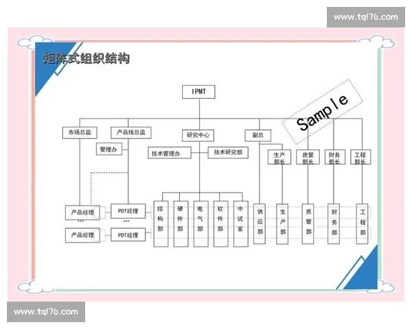 企业短期发展策略与绩效提升路径全面解析