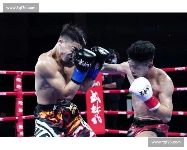 武林风一场比赛的门票价格是多少背后的经济价值与影响分析